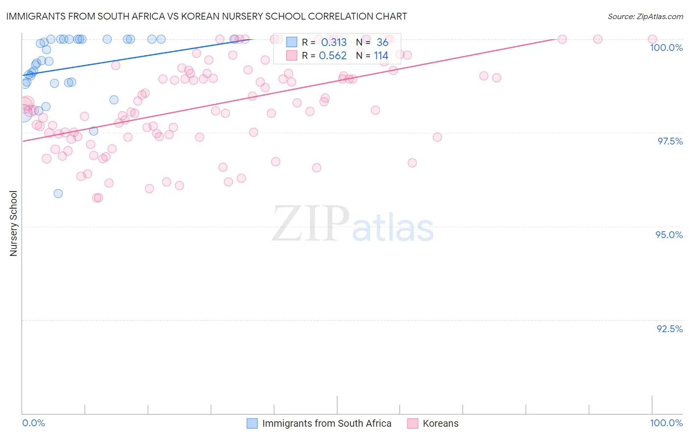 Immigrants from South Africa vs Korean Nursery School