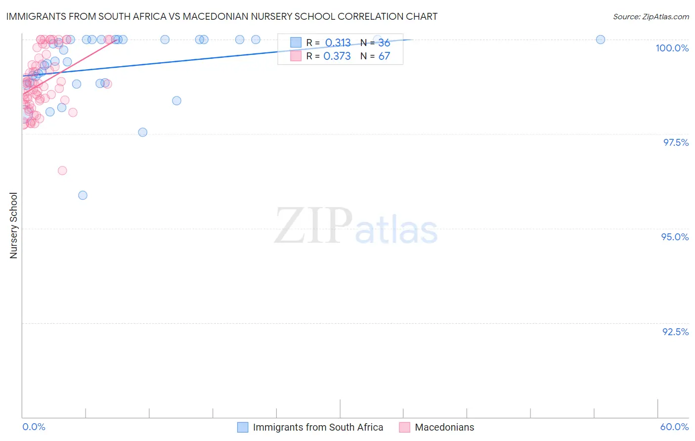Immigrants from South Africa vs Macedonian Nursery School