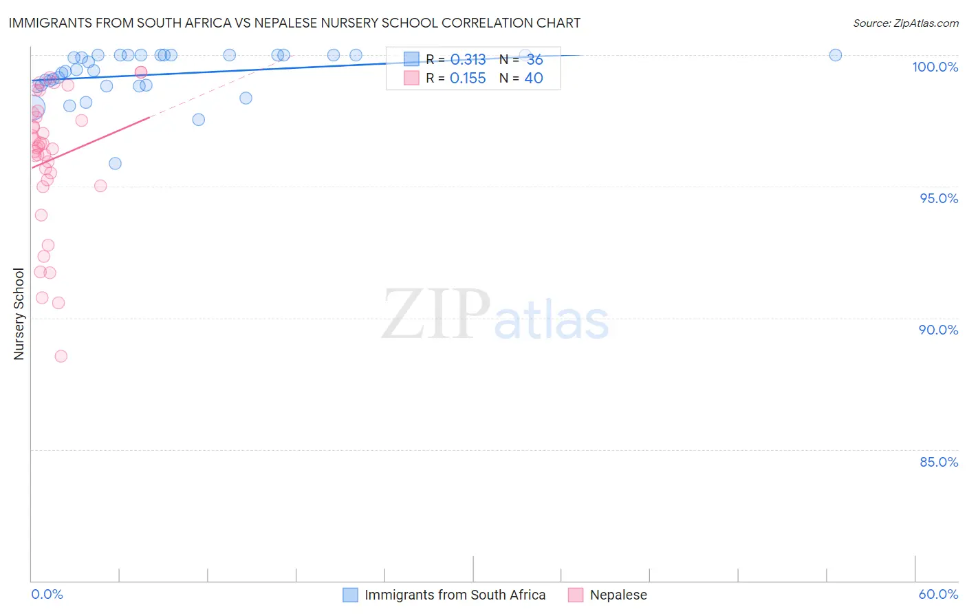 Immigrants from South Africa vs Nepalese Nursery School