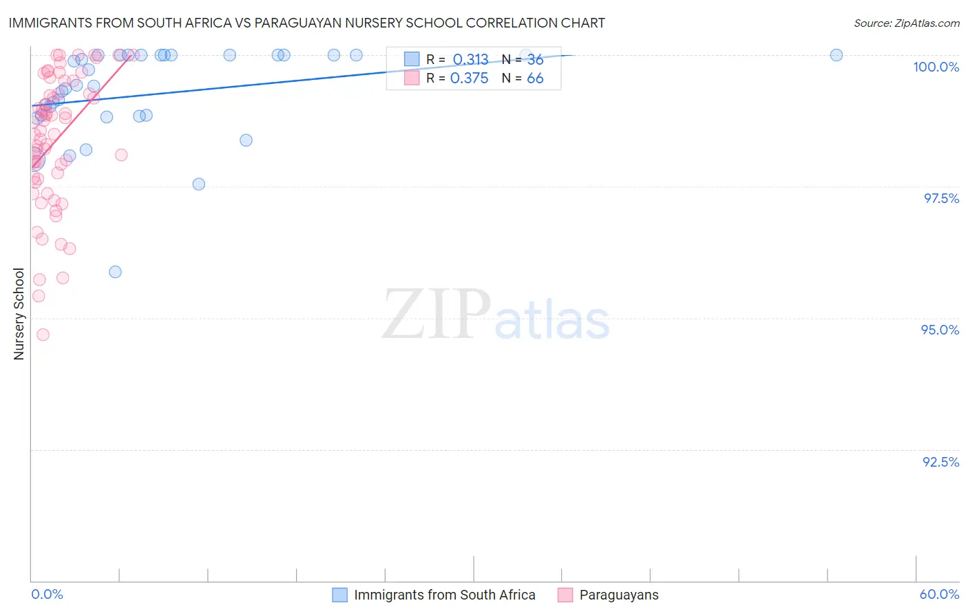 Immigrants from South Africa vs Paraguayan Nursery School