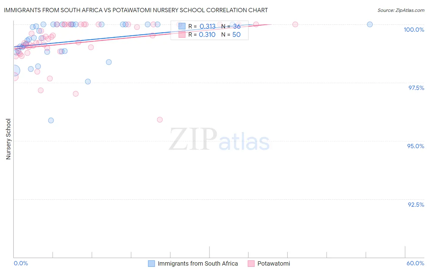 Immigrants from South Africa vs Potawatomi Nursery School