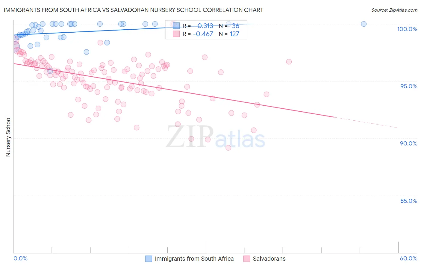 Immigrants from South Africa vs Salvadoran Nursery School
