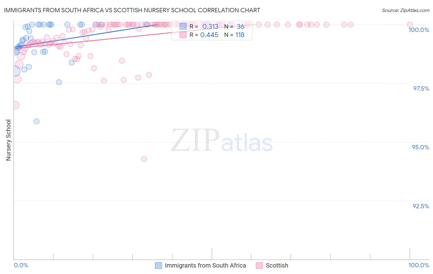 Immigrants from South Africa vs Scottish Nursery School