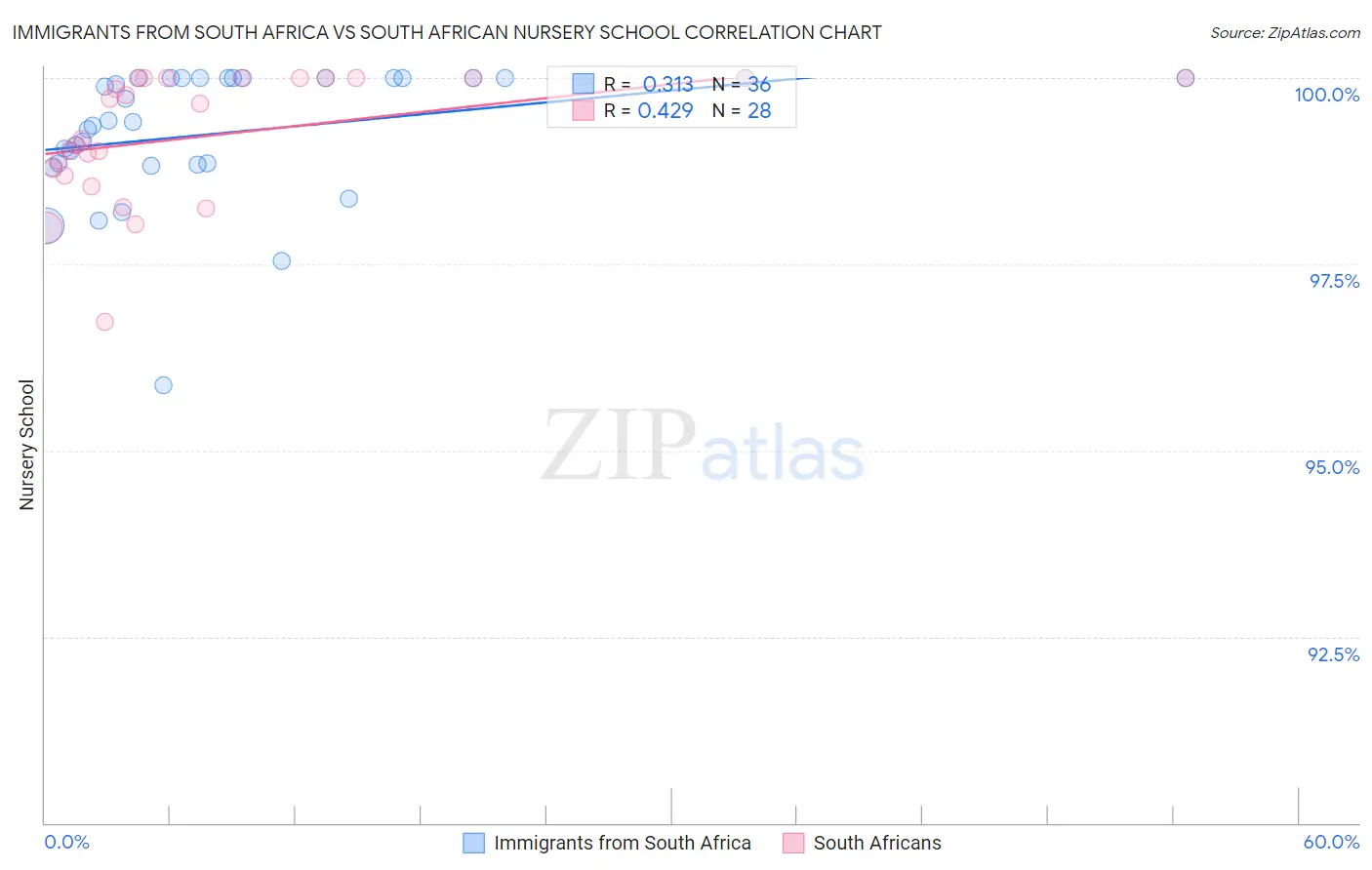 Immigrants from South Africa vs South African Nursery School
