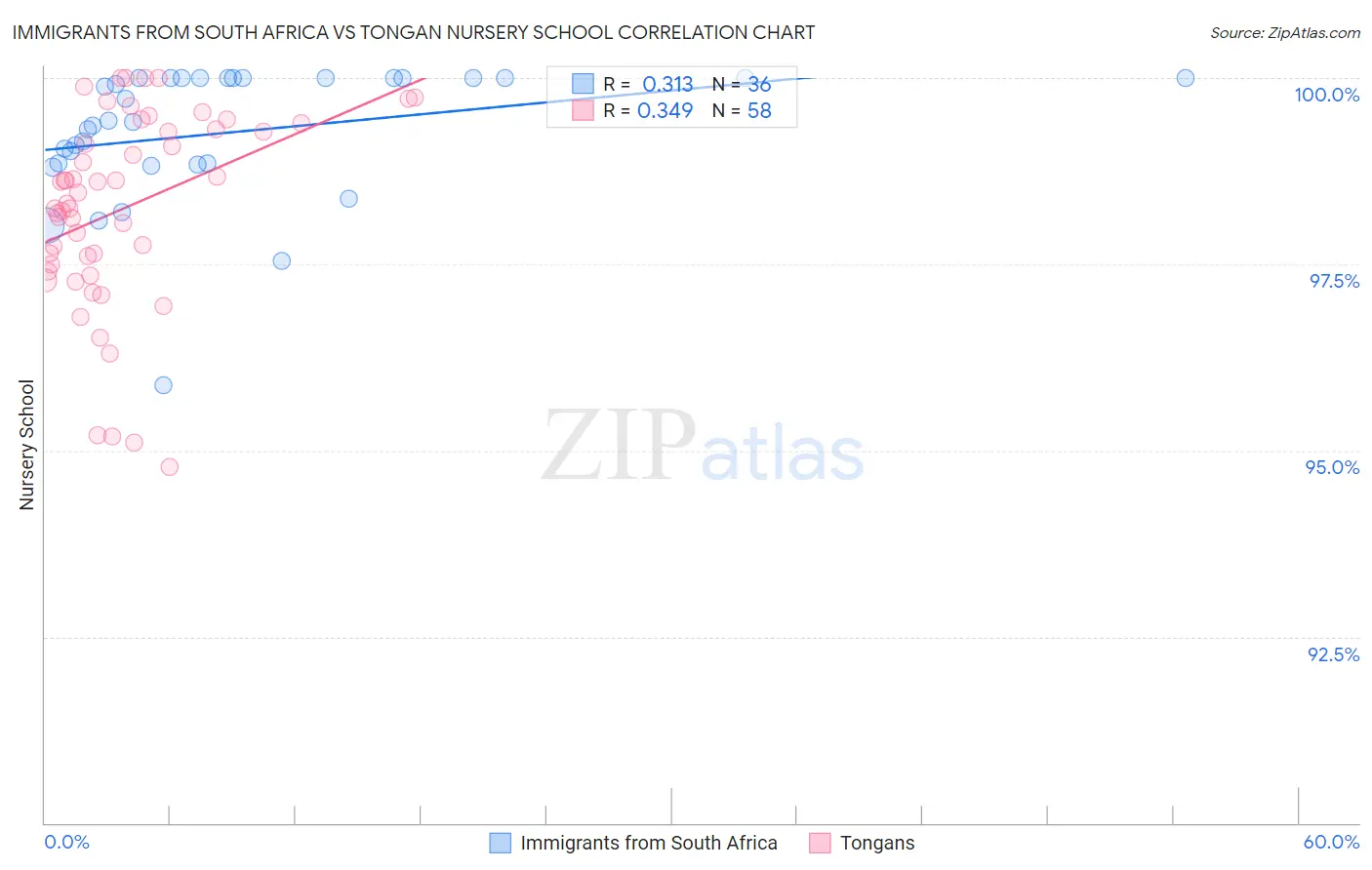 Immigrants from South Africa vs Tongan Nursery School