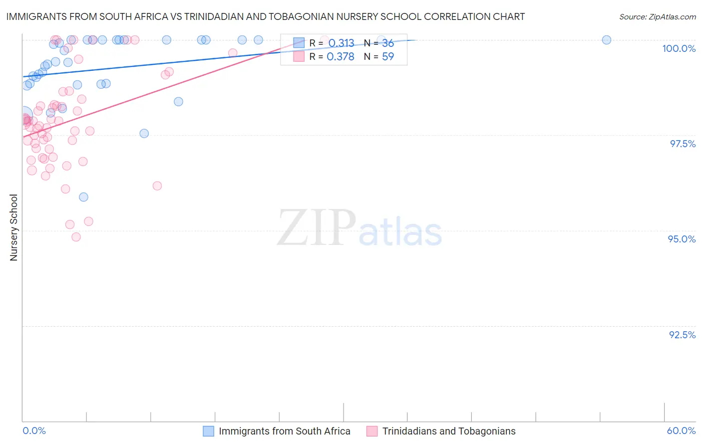 Immigrants from South Africa vs Trinidadian and Tobagonian Nursery School