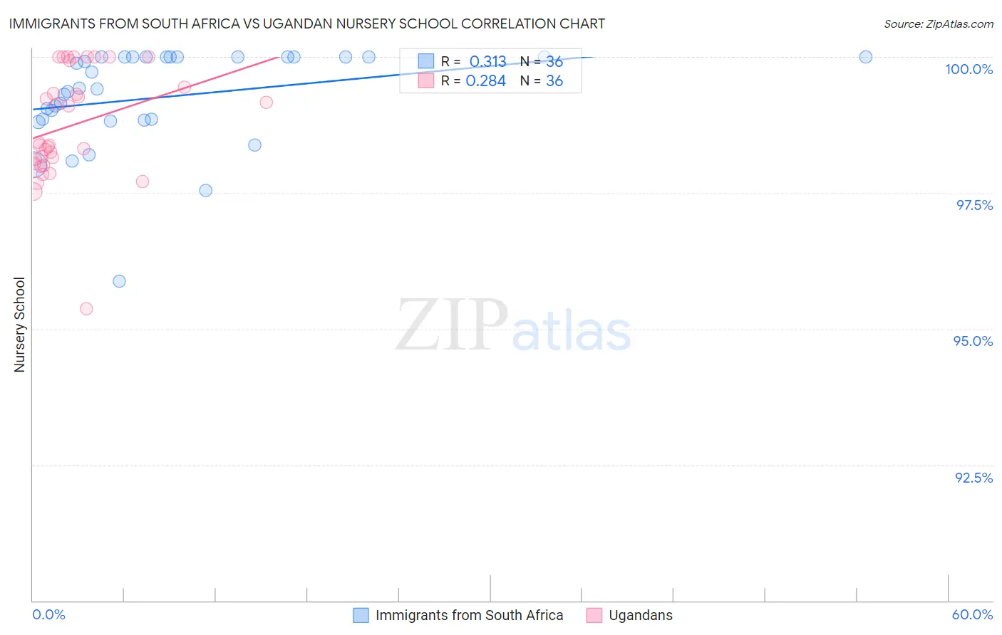 Immigrants from South Africa vs Ugandan Nursery School