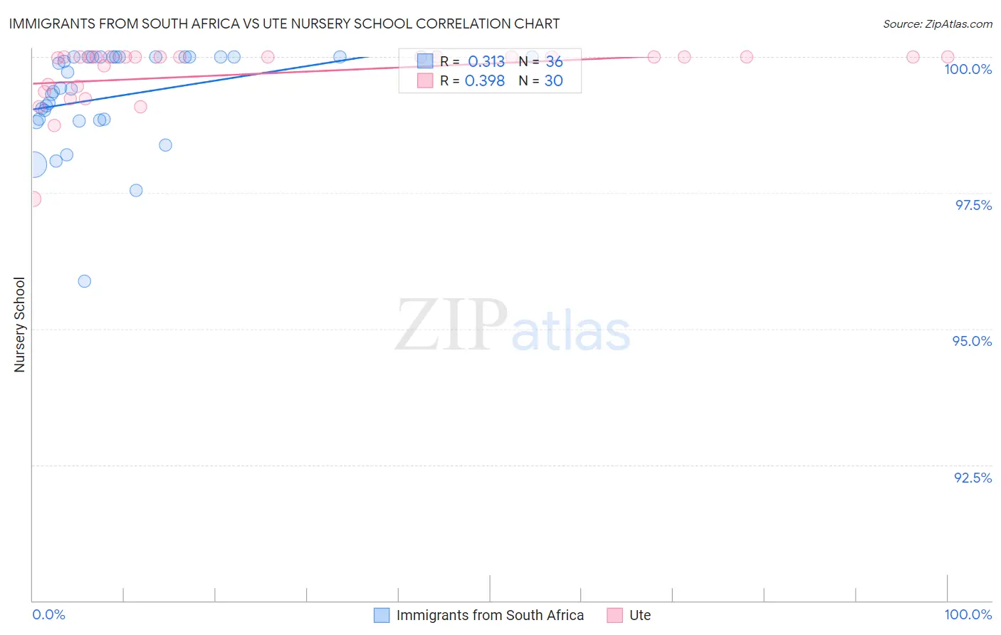 Immigrants from South Africa vs Ute Nursery School