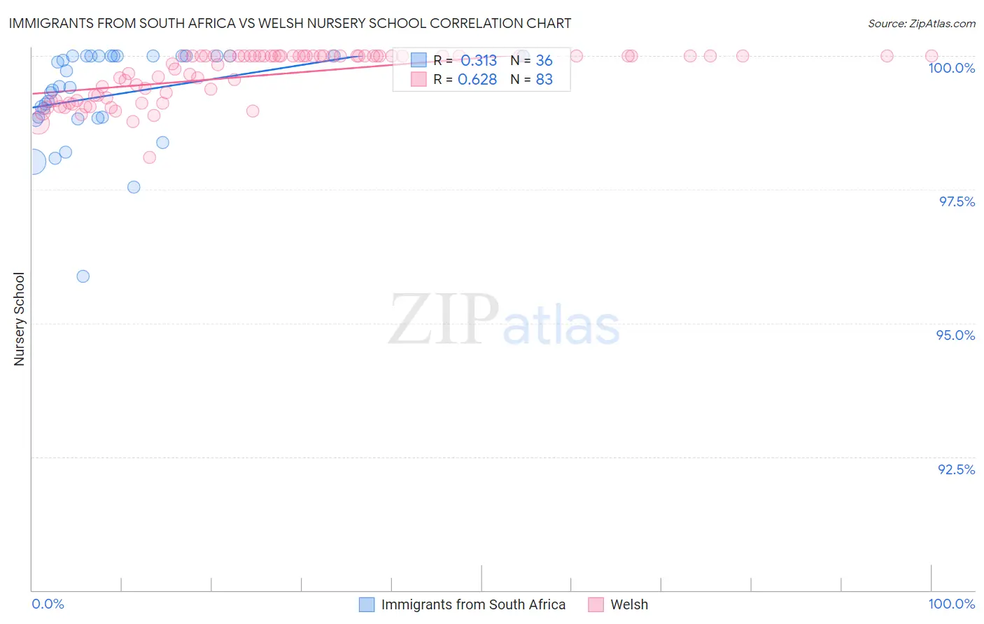 Immigrants from South Africa vs Welsh Nursery School