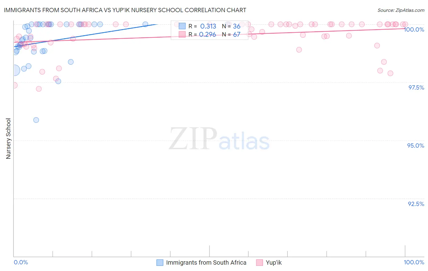 Immigrants from South Africa vs Yup'ik Nursery School