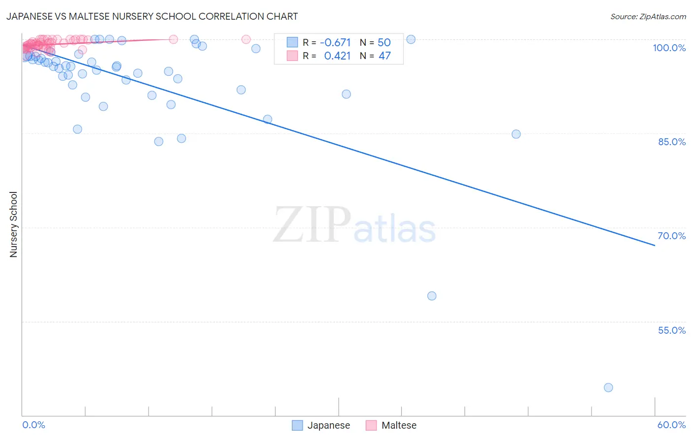 Japanese vs Maltese Nursery School