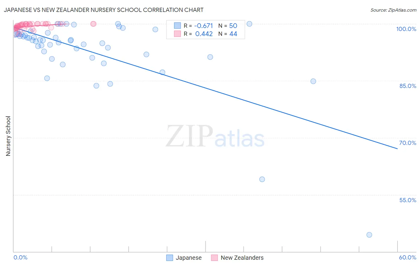 Japanese vs New Zealander Nursery School