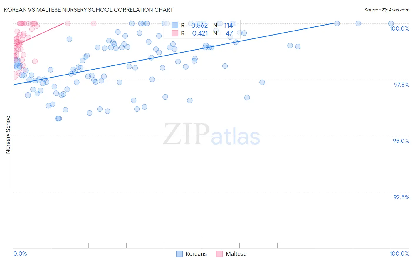 Korean vs Maltese Nursery School