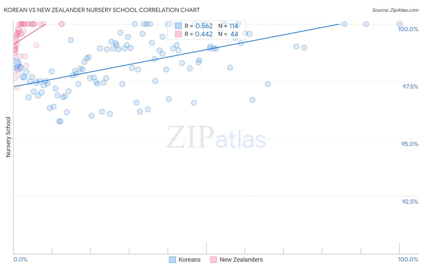 Korean vs New Zealander Nursery School