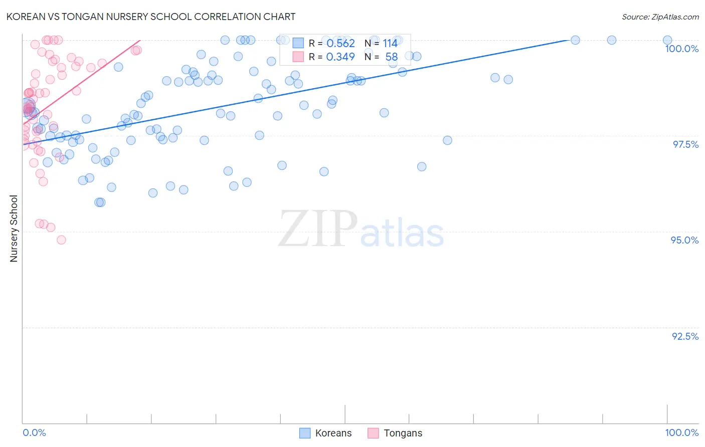 Korean vs Tongan Nursery School