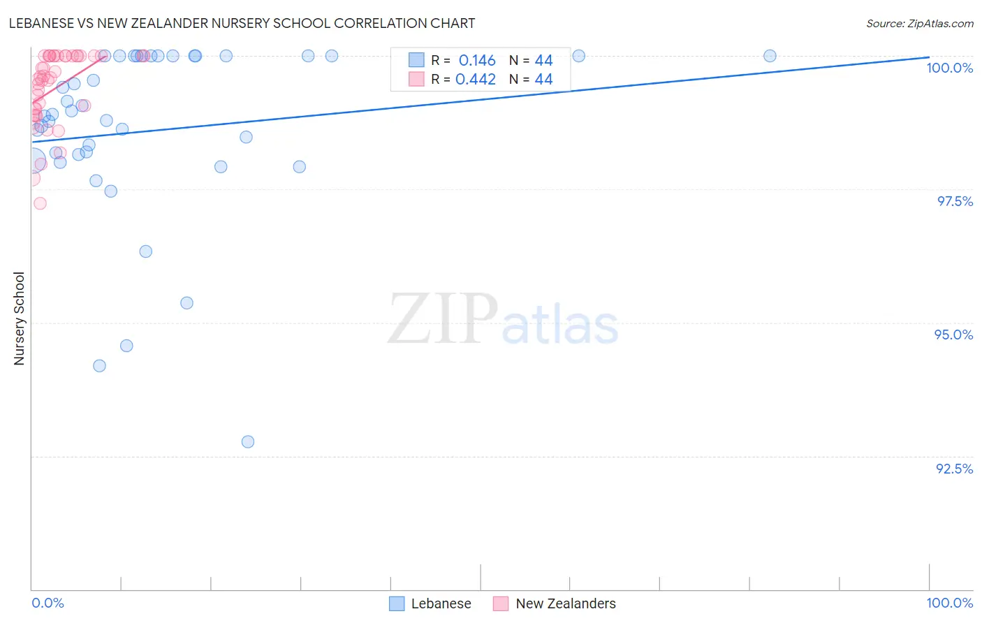 Lebanese vs New Zealander Nursery School