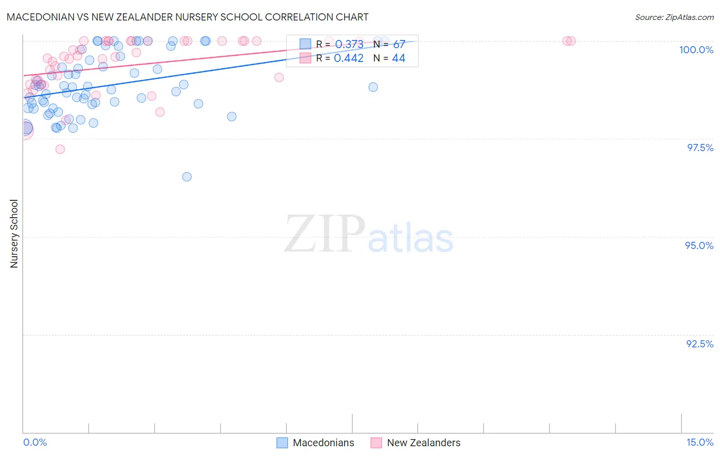 Macedonian vs New Zealander Nursery School