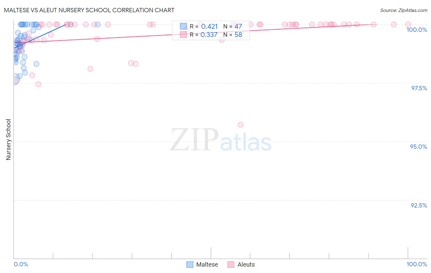 Maltese vs Aleut Nursery School