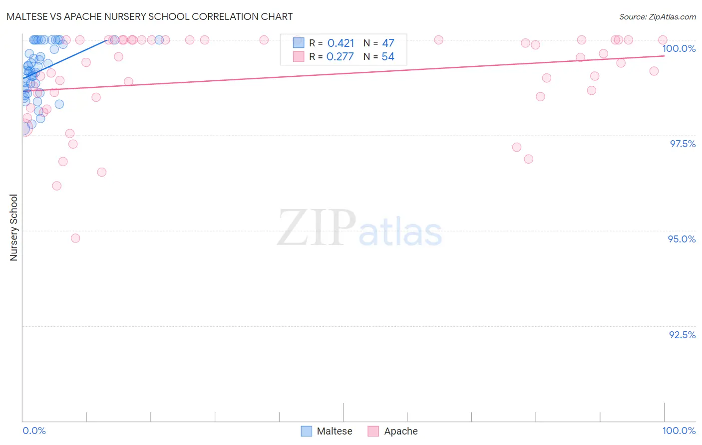 Maltese vs Apache Nursery School