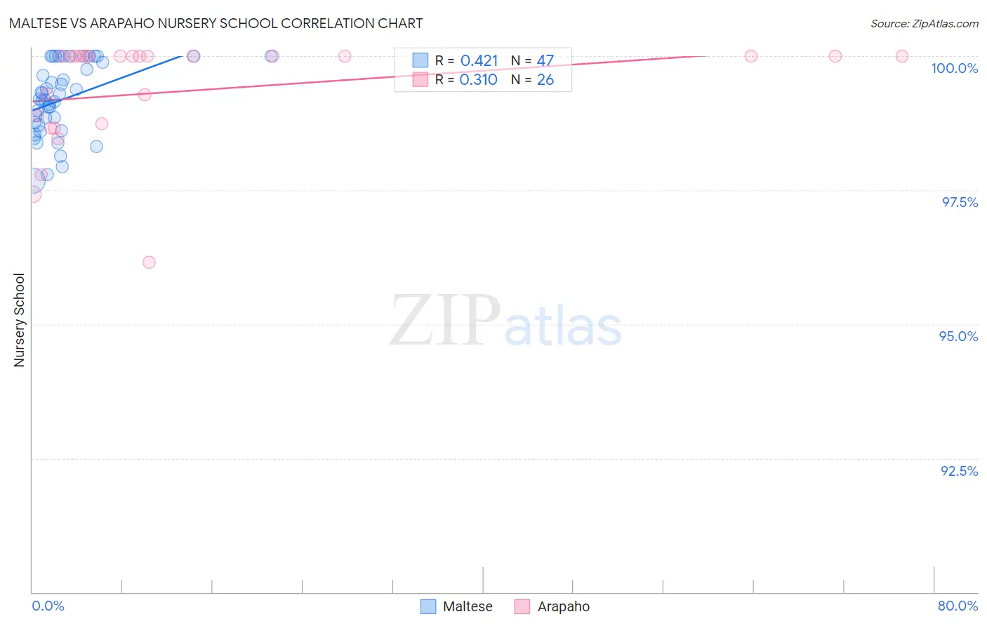 Maltese vs Arapaho Nursery School