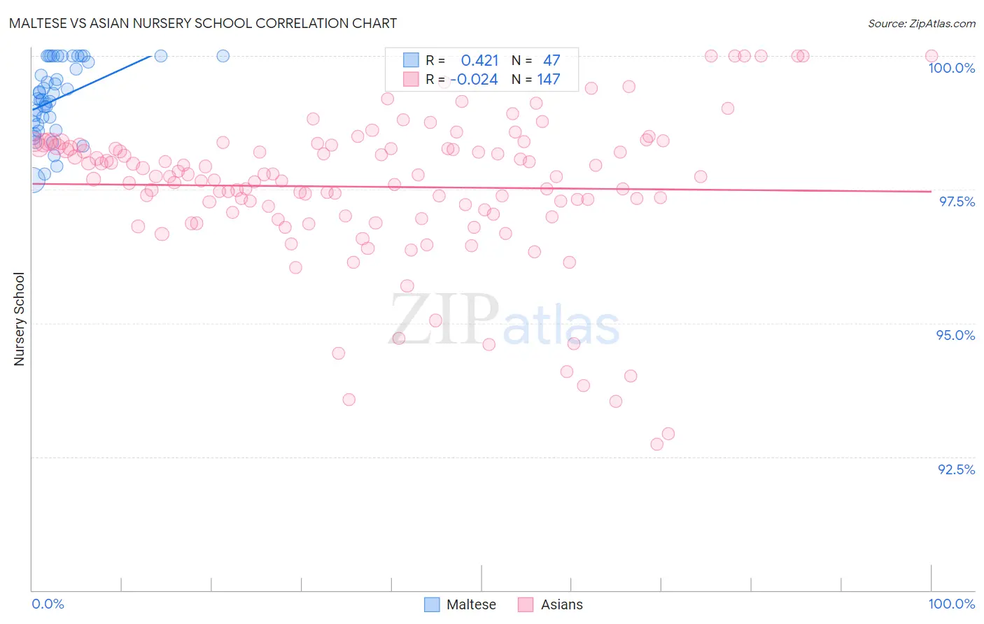 Maltese vs Asian Nursery School