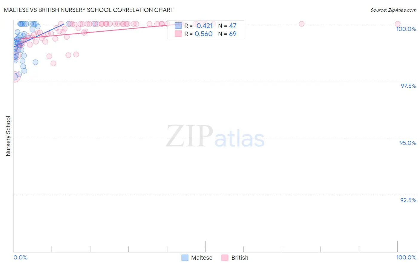 Maltese vs British Nursery School