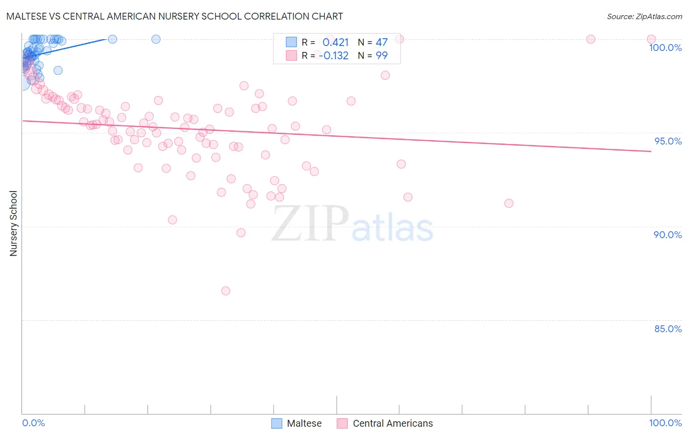 Maltese vs Central American Nursery School