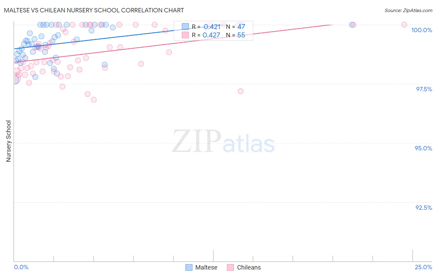 Maltese vs Chilean Nursery School