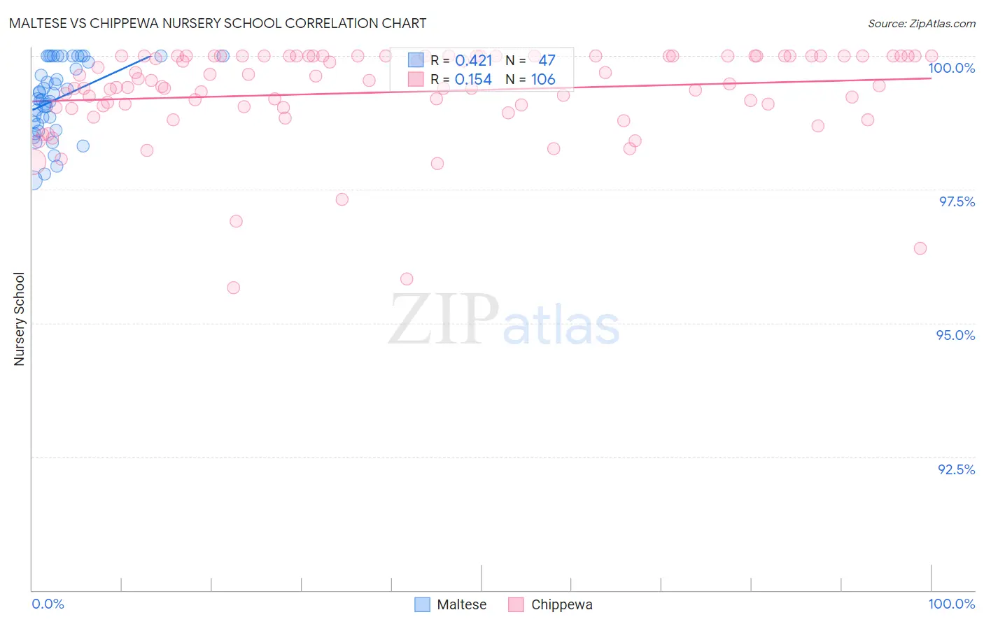 Maltese vs Chippewa Nursery School