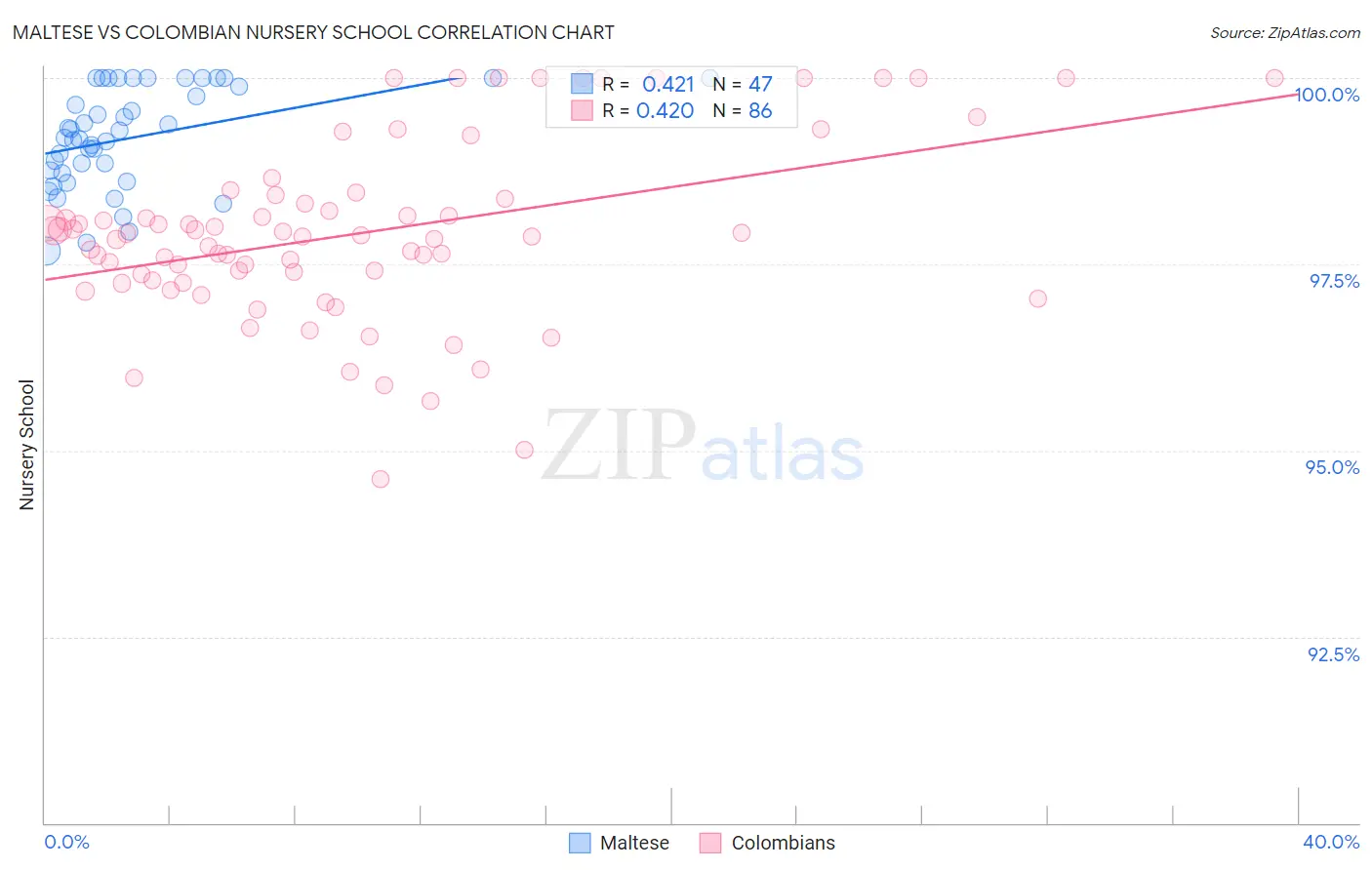 Maltese vs Colombian Nursery School