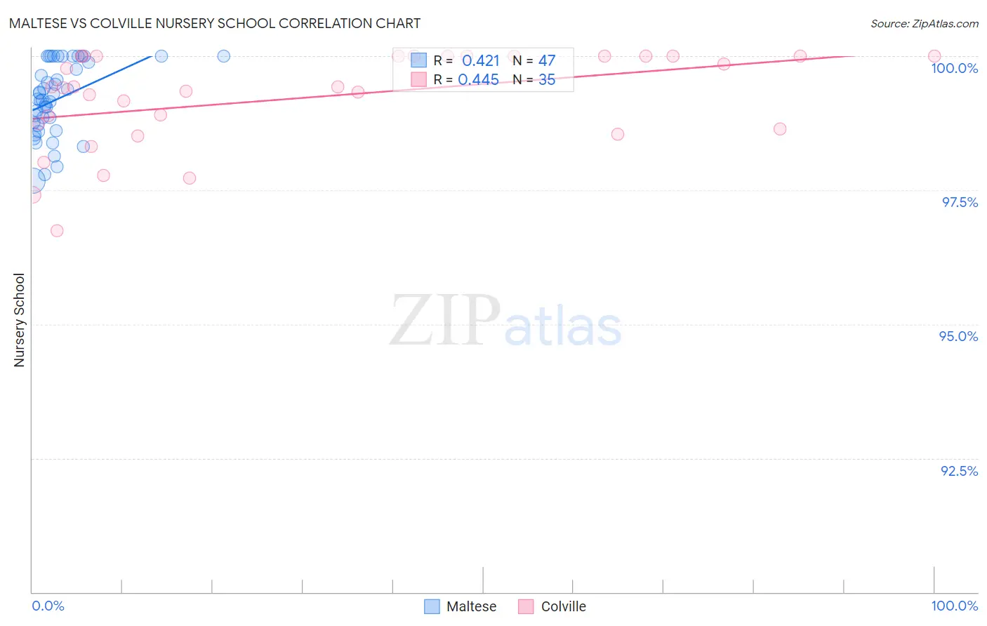 Maltese vs Colville Nursery School