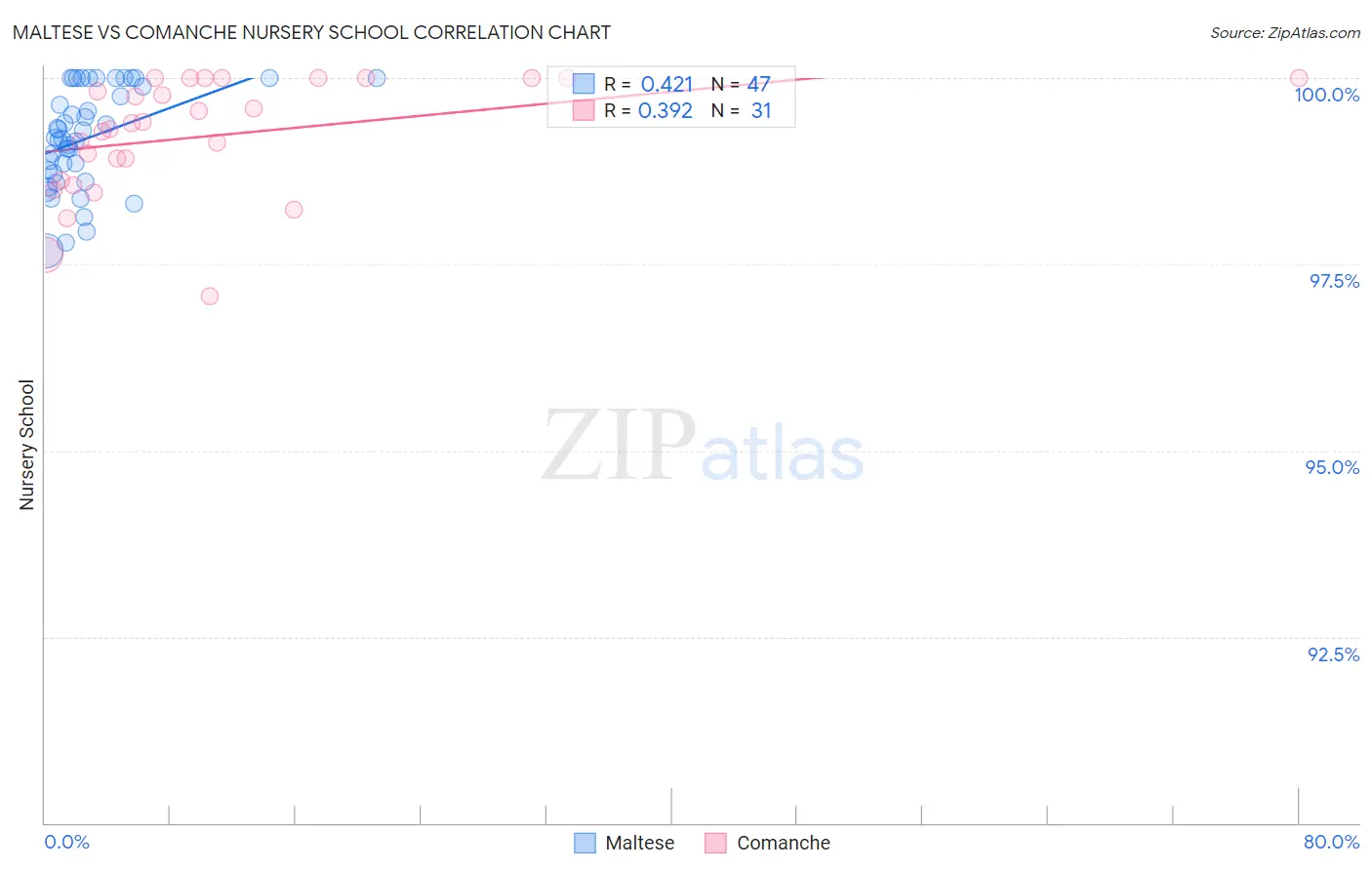 Maltese vs Comanche Nursery School