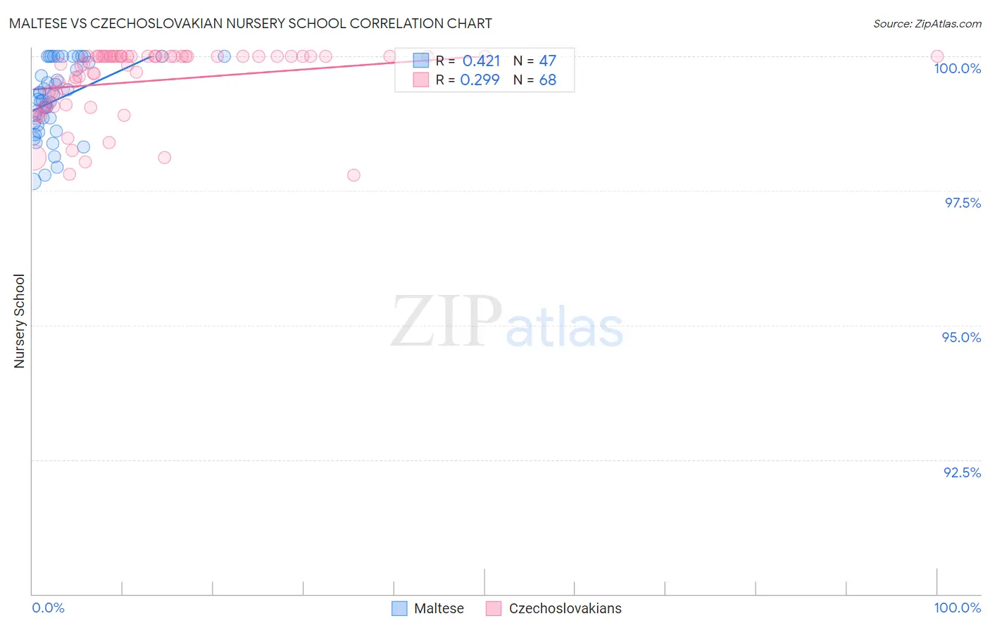 Maltese vs Czechoslovakian Nursery School