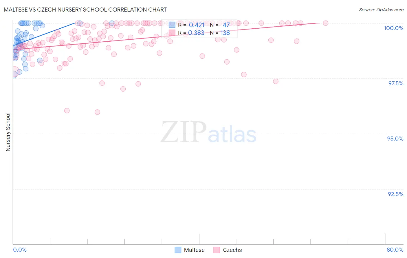 Maltese vs Czech Nursery School