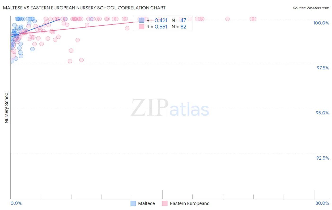 Maltese vs Eastern European Nursery School