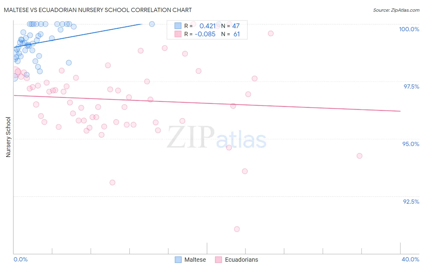 Maltese vs Ecuadorian Nursery School
