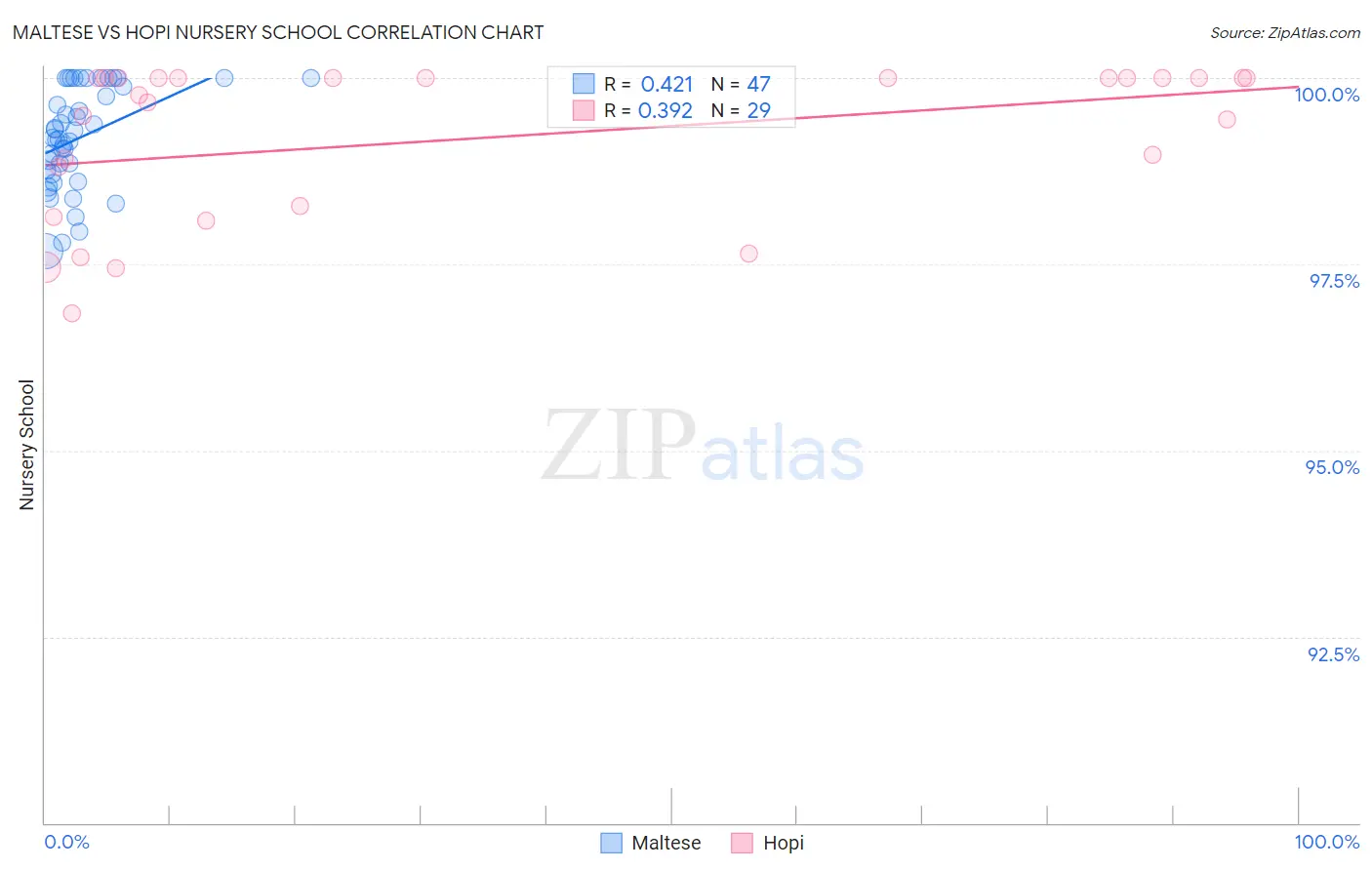 Maltese vs Hopi Nursery School