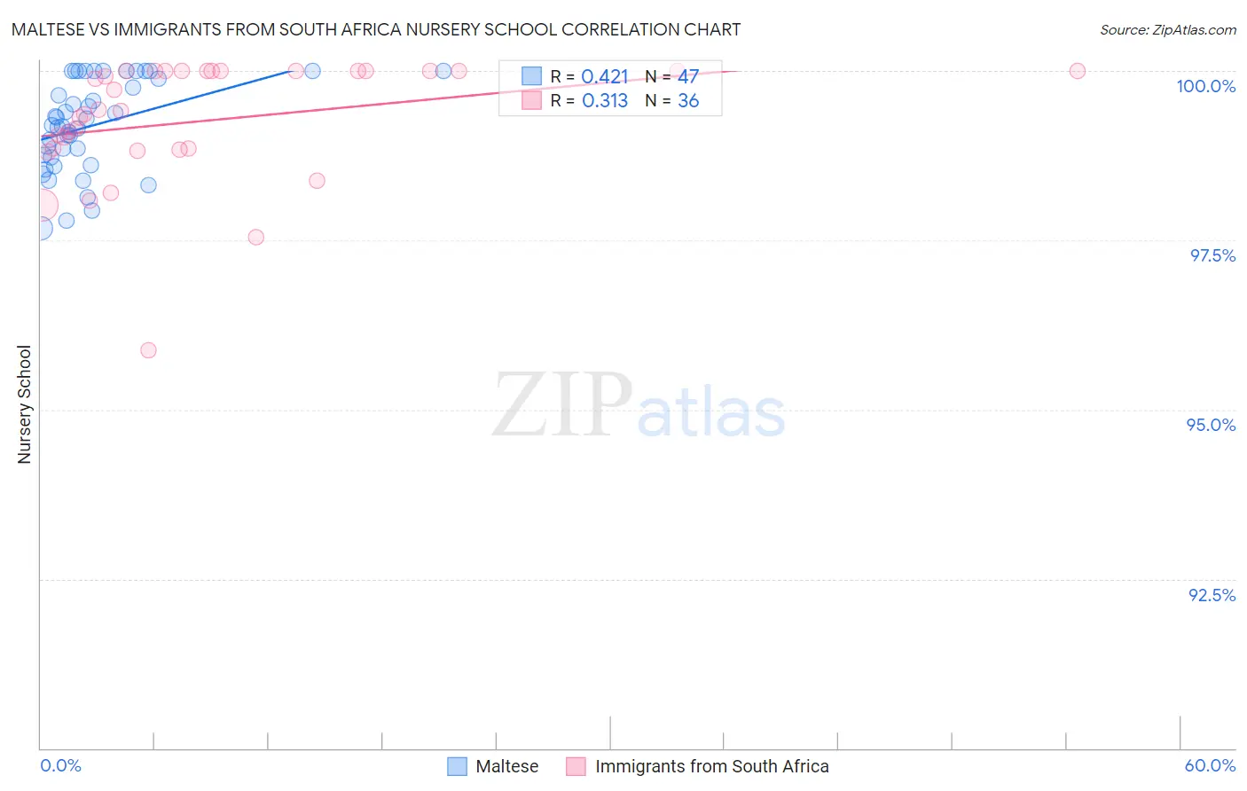Maltese vs Immigrants from South Africa Nursery School
