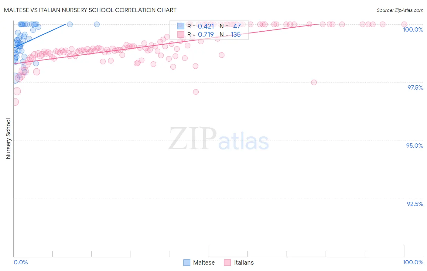 Maltese vs Italian Nursery School