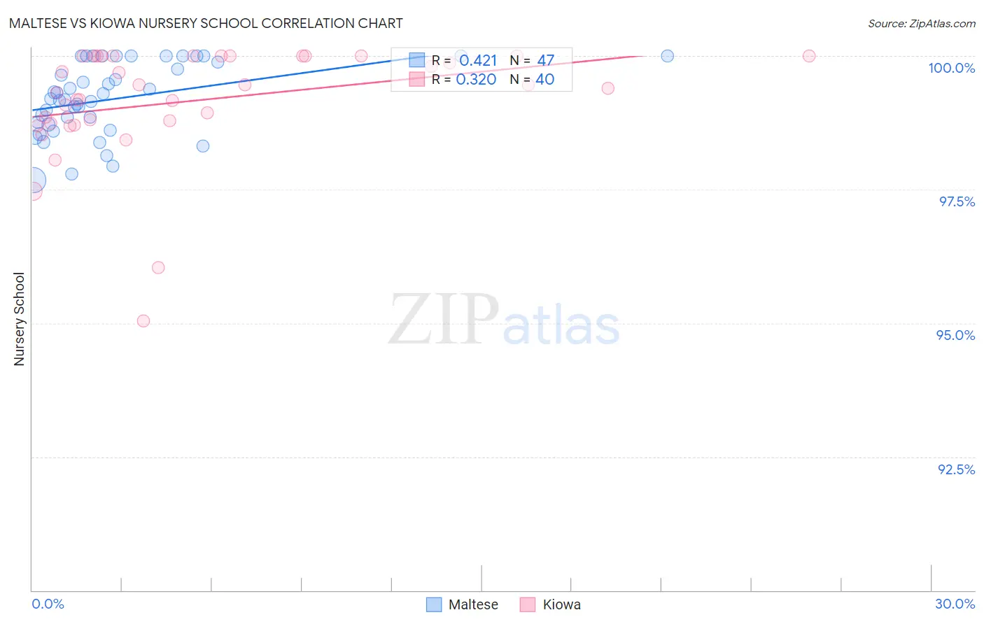 Maltese vs Kiowa Nursery School