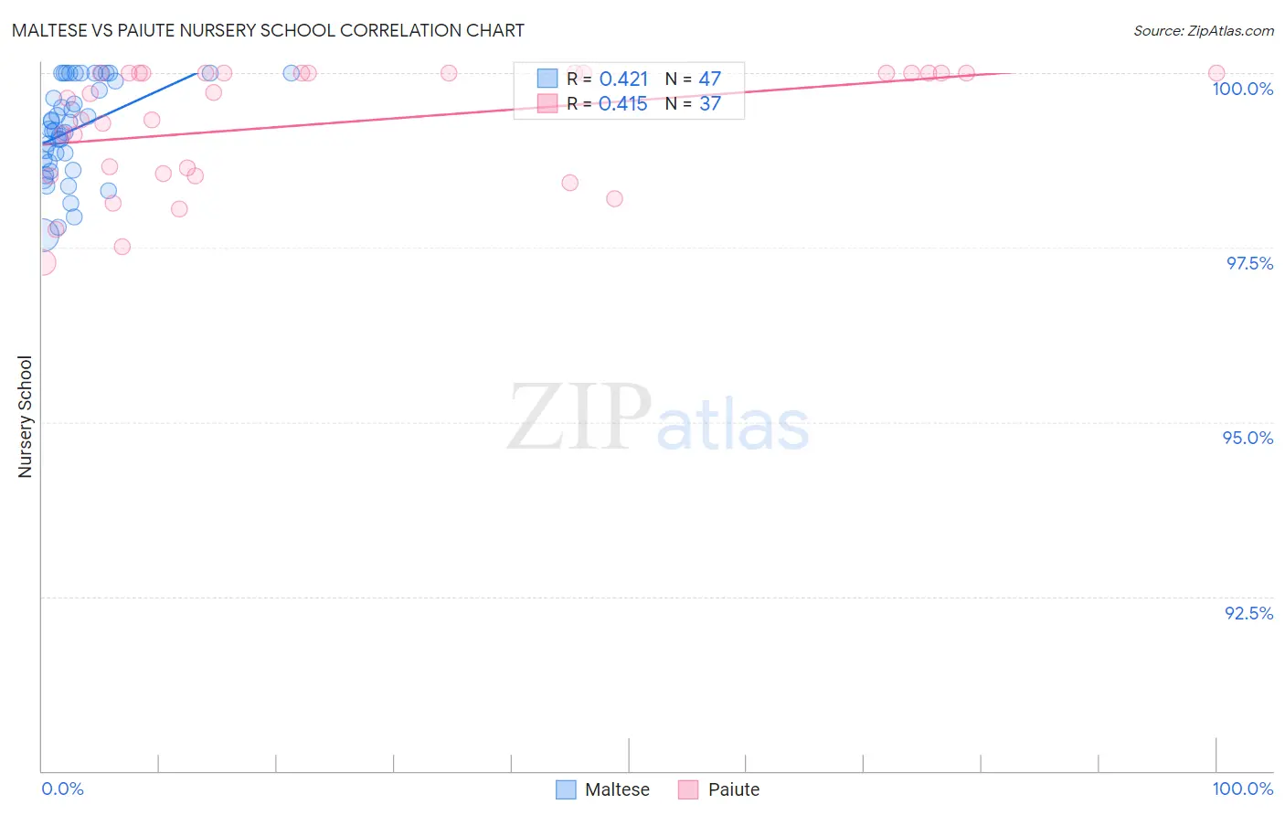 Maltese vs Paiute Nursery School