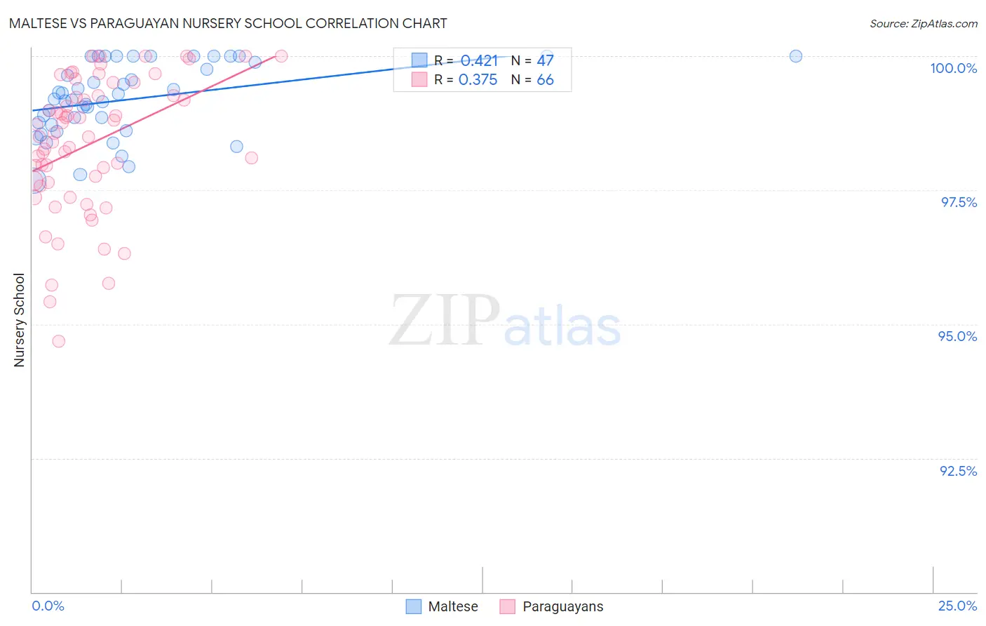 Maltese vs Paraguayan Nursery School
