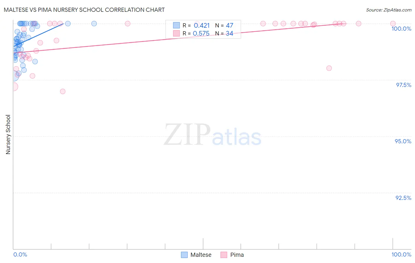 Maltese vs Pima Nursery School