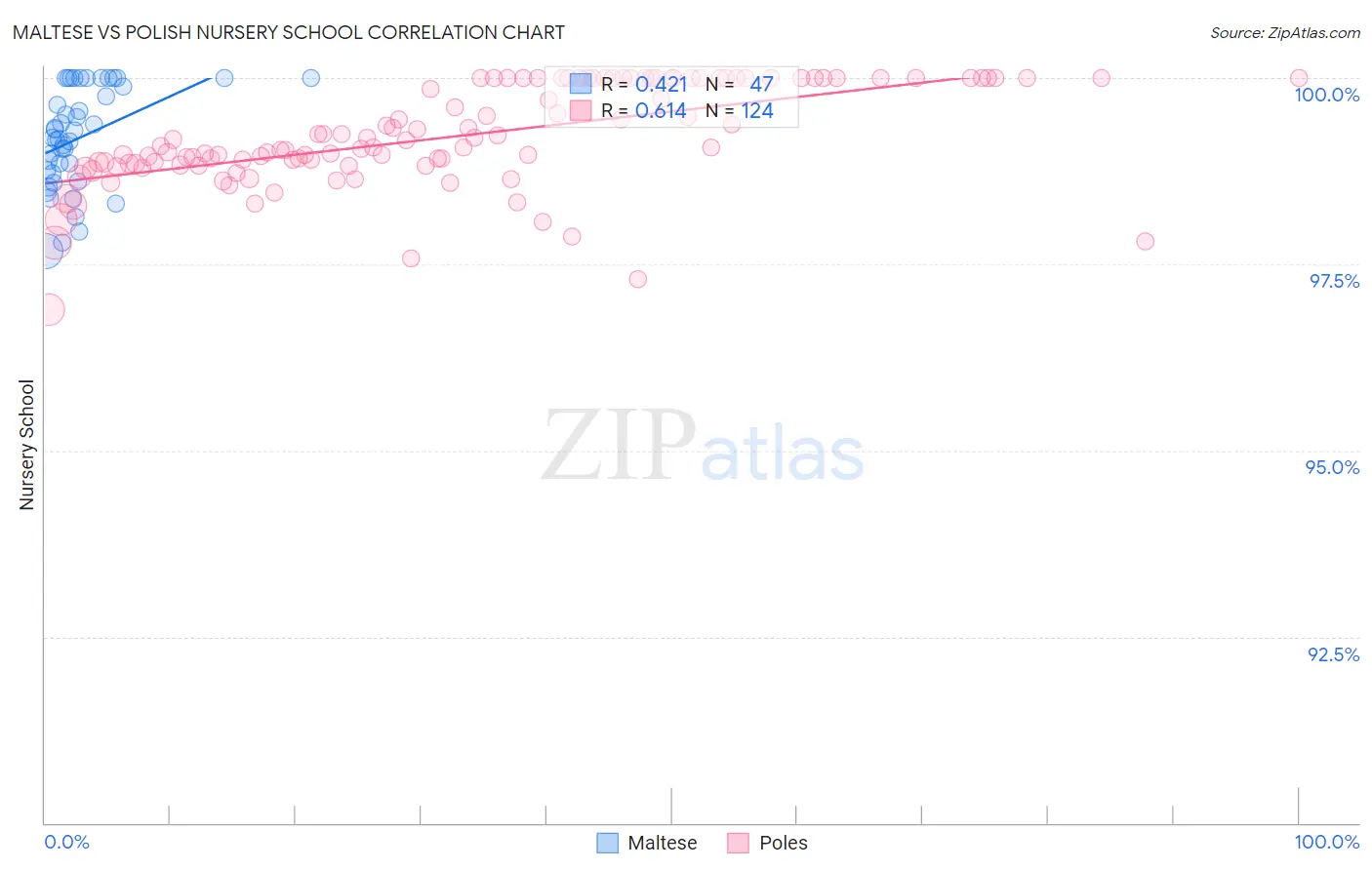 Maltese vs Polish Nursery School