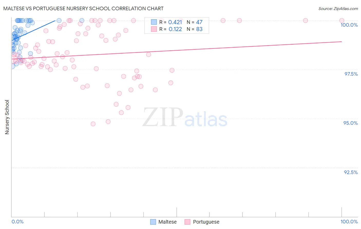 Maltese vs Portuguese Nursery School