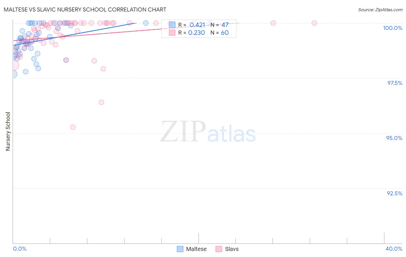 Maltese vs Slavic Nursery School