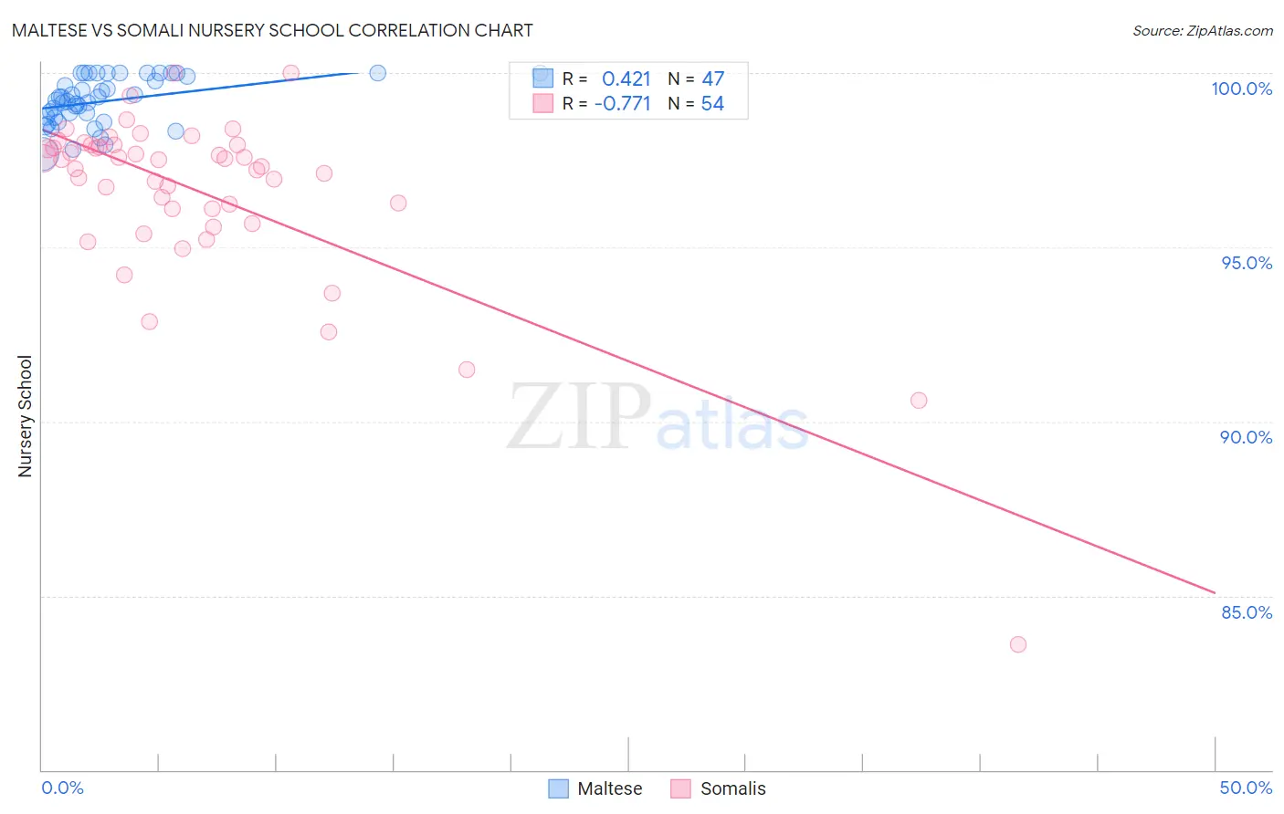 Maltese vs Somali Nursery School