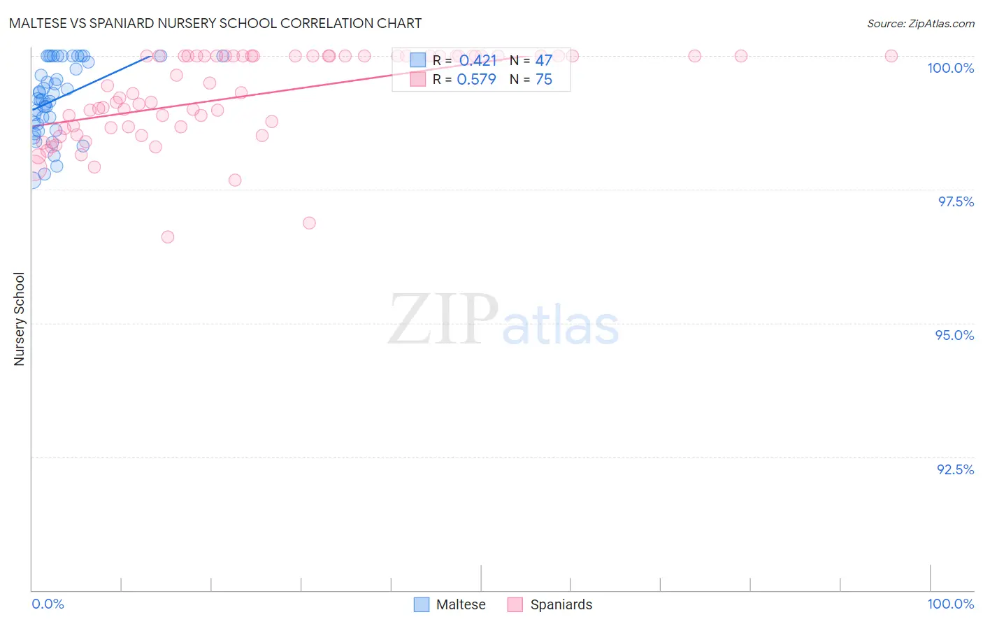 Maltese vs Spaniard Nursery School