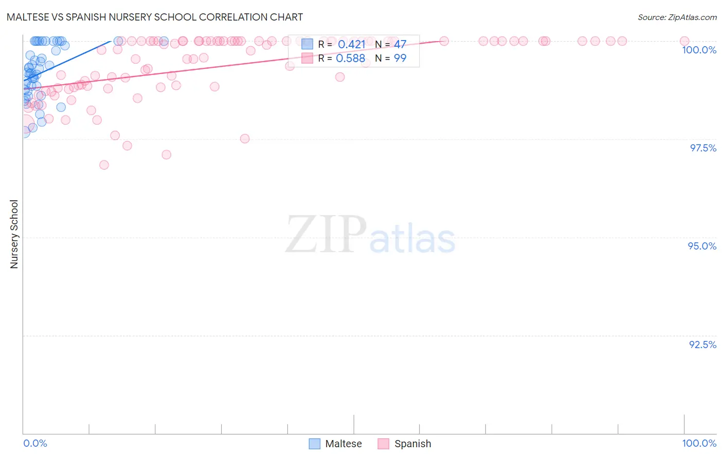 Maltese vs Spanish Nursery School