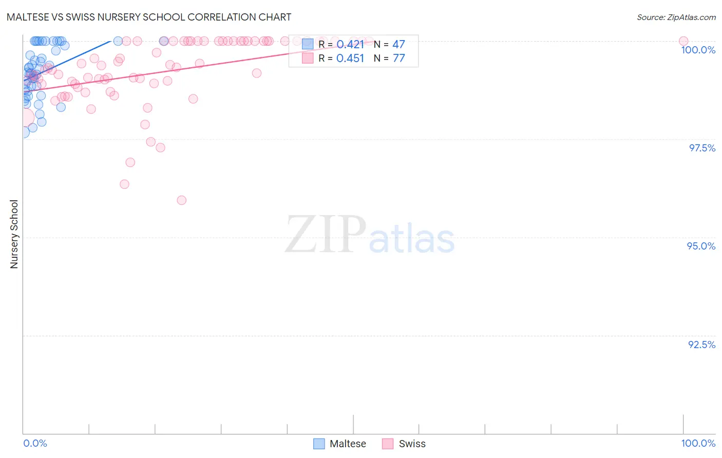 Maltese vs Swiss Nursery School